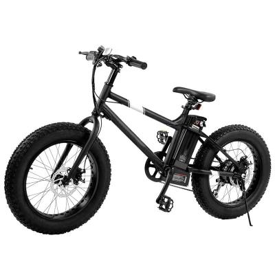 China Aluminum Alloy Electric Bike Fat Tire Bike 4 Tires, 20 Wheels, 7Speed ​​Disc Brakes for sale