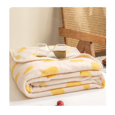 China Anti-Static Camping Mat Picnic Blanket Flannel Plush Cloth Throw Blanket Blanket For Kids for sale