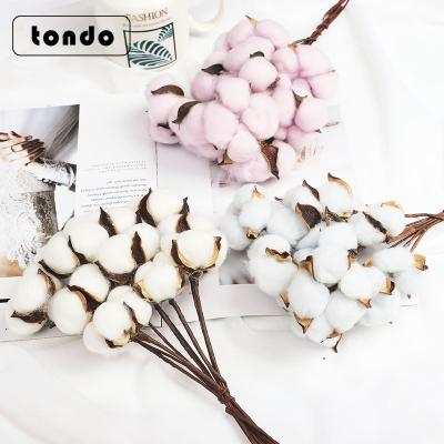 China Beautiful Christmas Gift Christmas Bouquet Dry Flower Decoration Photo Props Atmosphere 10 Home Decoration Sticks By Colorful Cotton for sale