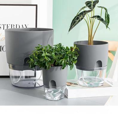 China Contemporary Plastic White and Gray Colors of Self Watering Pot Sets for Indoor Home Decoration Hydroponic Succulents Clear Planter for sale