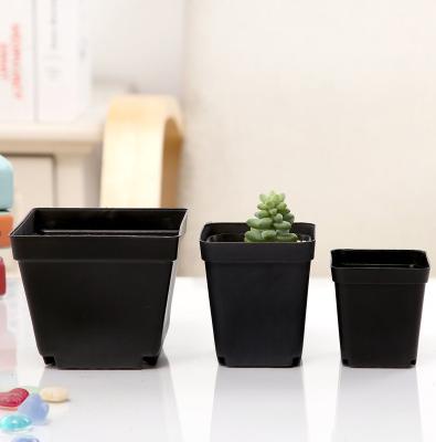 China Traditional Black Mini Square Succulent Pot Plastic Nursery Planter for Garden Decoration Indoor Outdoor Seedling Planter for sale