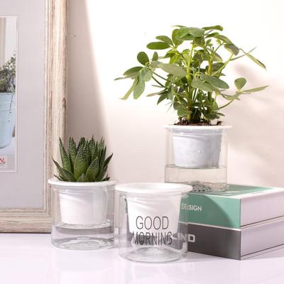 China Contemporary Hot Selling Fancy Plastic Self Watering Flower Pots For Home Office Decoration Plastic Transparent Pot With Printing For Plants for sale