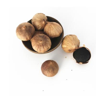 China High Quality Food Fresh Herb Aged Garlic Black Healthy Garlic for sale