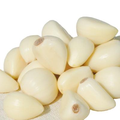 China New fresh Chinese crops fresh peeled garlic, vacuum packing peeled garlic, peeled garlic for sale