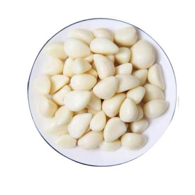 China 100% fresh high quality fresh peeled white peeled garlic for sale with good peeled for sale