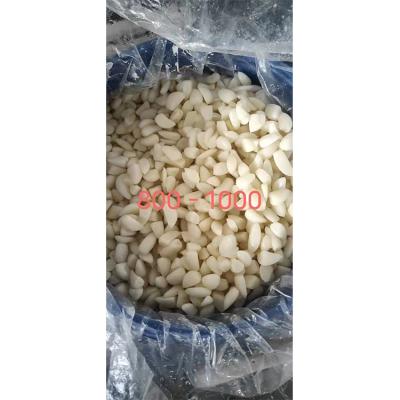 China Crystal Garlic Rice Peeled Chinese Fresh Garlic Garlic Cloves Pickled Brine Garlic Fresh Rice in Brine for sale