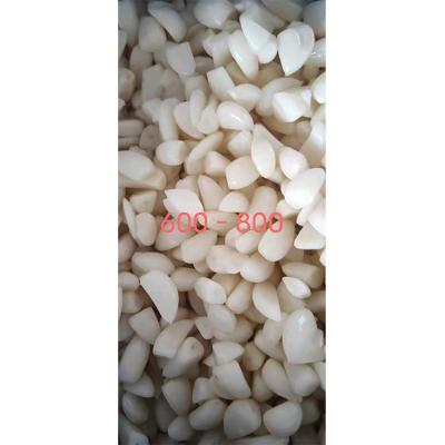 China Crystal Garlic Rice China Import Fresh Brine Garlic Pickled Peeled Rice for sale