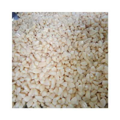 China New Wholesale Fresh Crystal Peeled Garlic Cloves In White Pickled Brine for sale