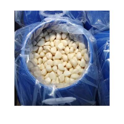 China Wholesale Price Fresh Salted Preserved Garlic Peeled Garlic In Brine for sale