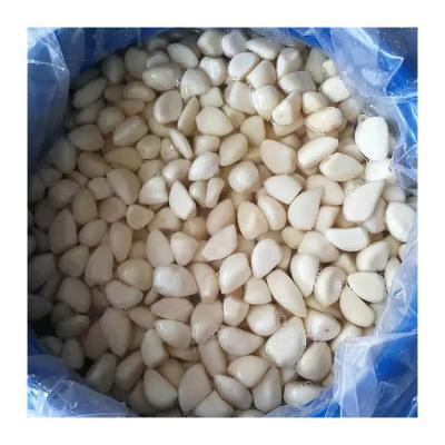 China Fresh Supply By Factory Salted Garlic New Preserved Culture Of Salted Peeled Garlic In Brine for sale