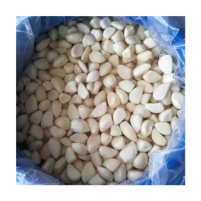 China Factory Fresh Preserved Seasoned Salted Garlic Wholesale Directly Pickled for sale