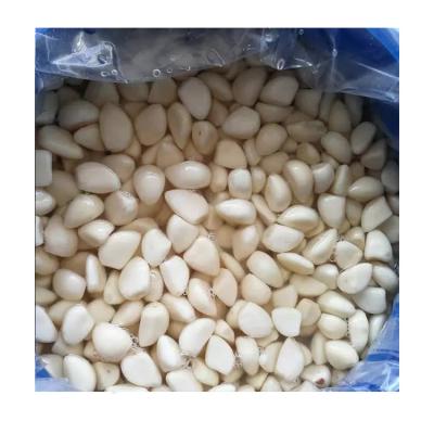 China Best price and quality new fresh culture peeled garlic in brine with good price for sale