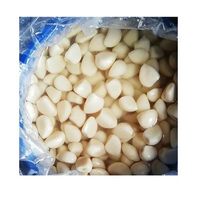 China Fresh Good Price White Garlic Directly Pickled Garlic Pickled Garlic for sale