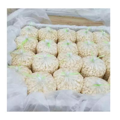 China Fresh In Common White Brine Garlic Best Price And Quality Salted Garlic In Brine for sale