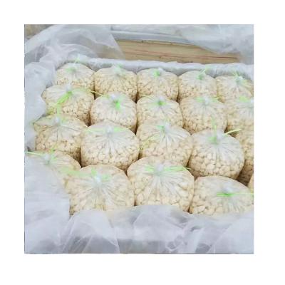 China Hot Selling Export Fresh Salted Preserved Garlic Wholesale Organic Peeled Garlic In Brine for sale