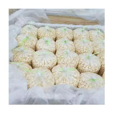 China Exporters High Quality Fresh In China Wholesale Price Salted Garlic Factory Supply for sale