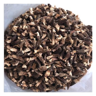 China High Quality Edible Natural Fresh 2021 Dry Grow Dried Nightshade Mushrooms for sale