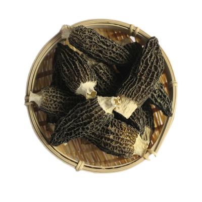 China Rich In Trace Elements Morel dry soup dried morchella nightshade price for sale