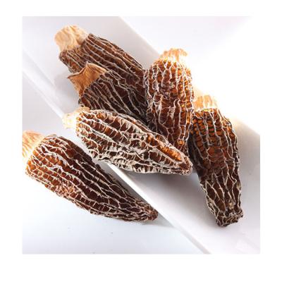 China Chinese Supplier Dry Dried Rich In Trace Elements Fresh Morel for sale