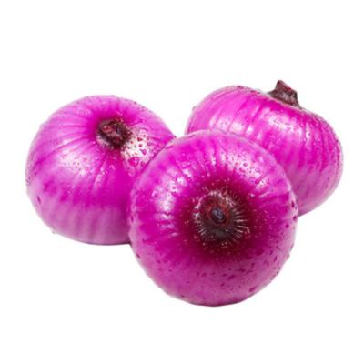 China Manufacturers price fresh natural red purple onions fresh vegetable red onions for sale