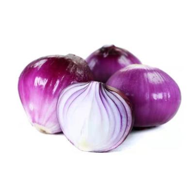 China Fresh high sales export plump and large natural fresh onion vegetable natural red price for sale