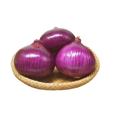 China Wholesale Fresh Fresh Onion 10kg/20kg Mesh Bag Fresh Onions for sale