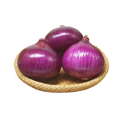 China Fresh fresh organic onion red onion 5-7cm from china at wholesale price for sale