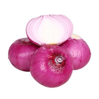 China Best Fresh A Grade Fresh For Shopping Onion Basket Storage Bulk Red Onion 5-7cm for sale