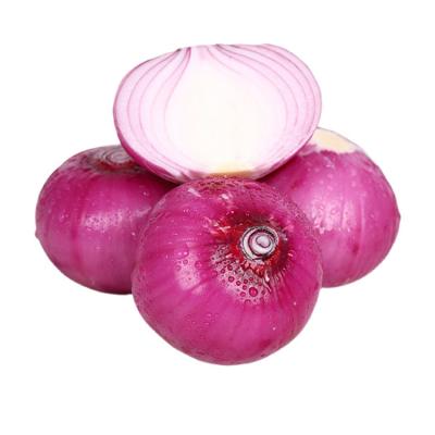 China Wholesale Fresh For Sale Good Quality Basket Storage Warehouse Fresh Organic Onion Onions for sale