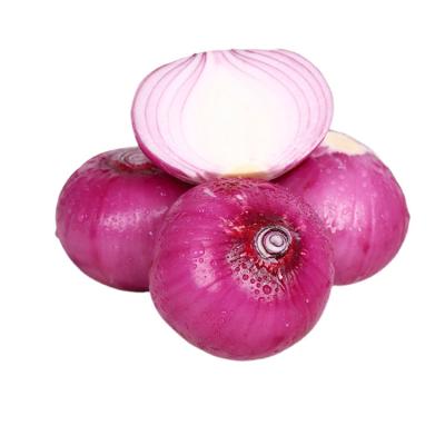 China Exporters High Quality Fresh In China Basket Storage Wholesale Fresh Onion for sale