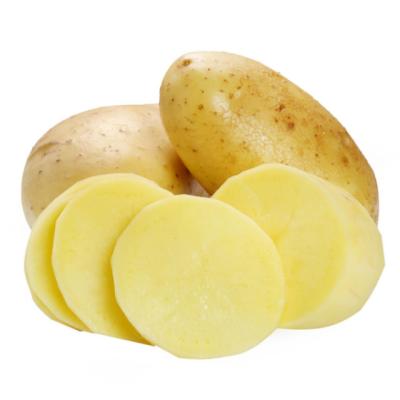 China China high quality fresh export peel potato wholesale price yellow fresh potatoes for sale for sale