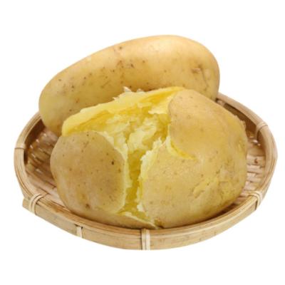 China China Wholesalers Best Quality Fresh Vegetable Suppliers Bulk Potato Price for sale