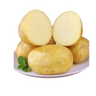 China Wholesale Cheap Price Fresh Potato Flesh Yellow Potato for sale