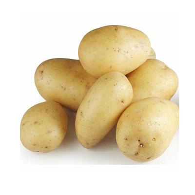 China Wholesale China Fresh Cheap Potatoes Price Yellow Flesh Potato for sale