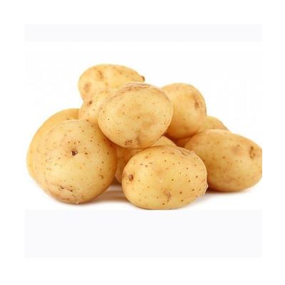 China Cheap Professional Fresh Potato Fresh Price China Fresh Potato Candy for sale