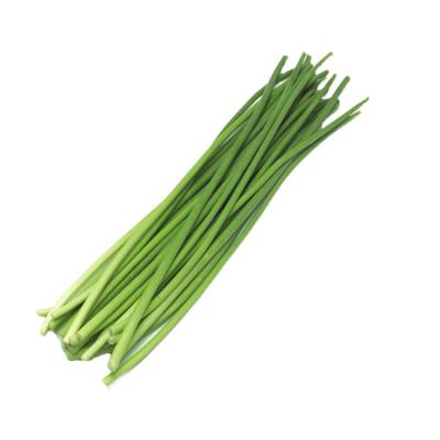 China Wholesale Green Moss Fresh Young Garlic Moss Sprout of Fresh Vegetable Garlic for sale