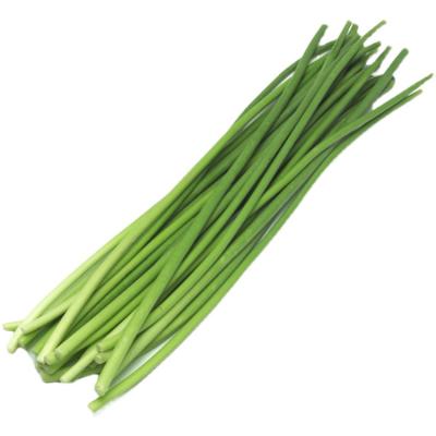 China High Nutritional Value Fresh Green Garlic Mousse Fresh Short Sprout Garlic Mousse for sale