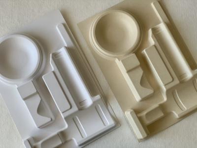 Cina Spappoli la bagassa di Tray Custom Sustainable Packaging Recyclable in vendita