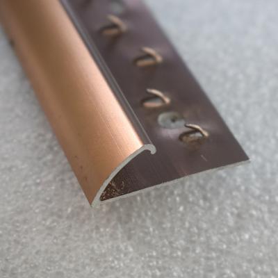 China Modern Aluminum Carpet Edge Protector, Carpet Edge Strip for sale