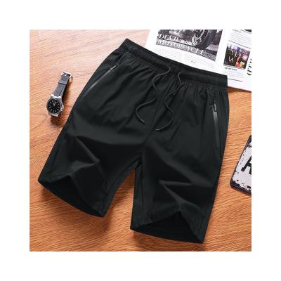 China New Design Professionals Gym Fitness Sports Cotton Sports Shorts Simple Jogging Sweat-absorbent Men's Breathable Shorts for sale