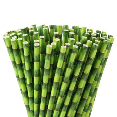 China Traditional Hot Sale Pattern Green Bamboo Straws Printed Kraft Paper Straws for sale