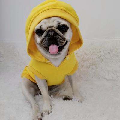 China Drop Shipping Sustainable Fashion Trendy Dog Clothes Designer Pet Clothes Dogs Hoodies for sale