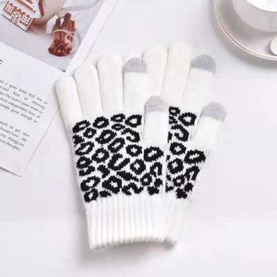 China Environmental Friendly Custom Mitt Screen Ski Sports Fashion Household Touch Warm Gym Gloves For Women for sale