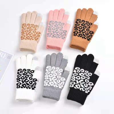 China Custom Environmental Friendly Screen Mitt Ski Sports Fashion Household Touch Warm Gloves For Women for sale