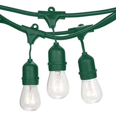 China Festival Day Outdoor Edison Flower Lamp S14 E26 Hanging String Light for sale