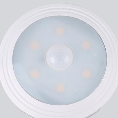 China Modern Toilet Motion Activated Sensor Night Light for sale