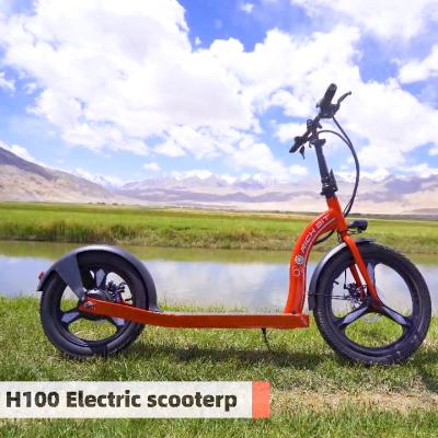 China Unisex Best Powerful Electric Bike & E-scooter Manufacturer & New-designed Electric Kick Scooter for sale