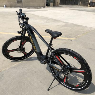 China New Design 500W 10Ah Aluminum Alloy Fat Suspension Full Tire Mntainou City Electric Bike for sale