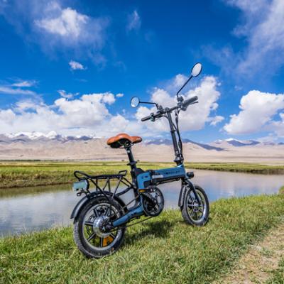 China RICH Bit Ebike Folding Electric Aluminum Alloy Aluminum Alloy Rear Thumb 250W 36V 10.2AH Bicycle Li-ion Battery 5 Level Assist Rack RT-619 14 for sale