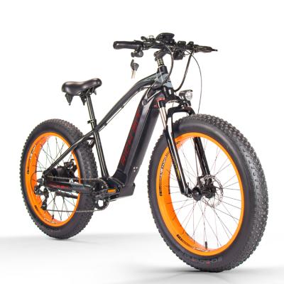 China Aluminum Alloy RICH BIT New Stable And Durable Electric Mobility Bike Energy E-Bike for sale